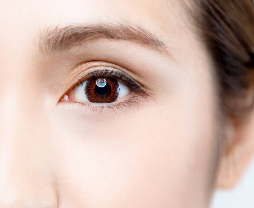 原因を正しく捉えた的確なクマ改善